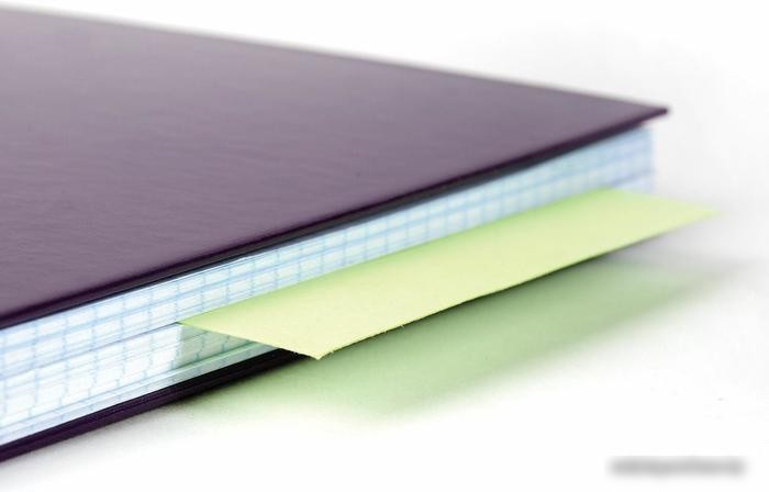 Разделитель документов BRAUBERG 223971 (зеленый)