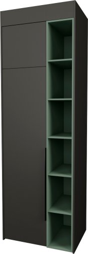 Шкаф распашной Рэйгрупп Рэй S274-B1-WKZ В1 (дуб веллингтон/кобальт/зеленый самшит)