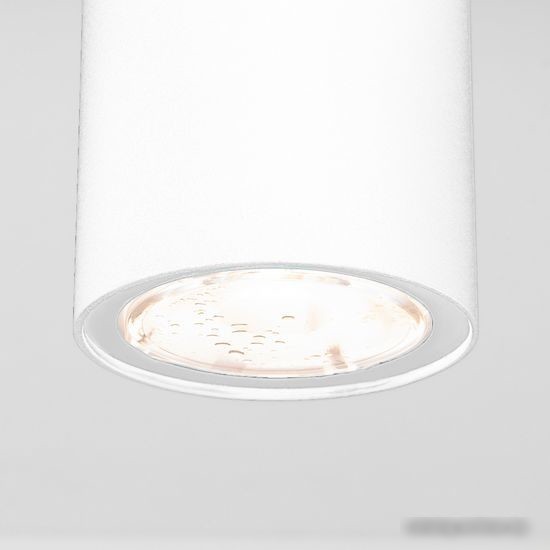 Уличный накладной светильник Elektrostandard Light 2102 35129/H (белый)