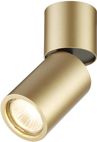 Точечный светильник Odeon Light Duetta 3895/1C