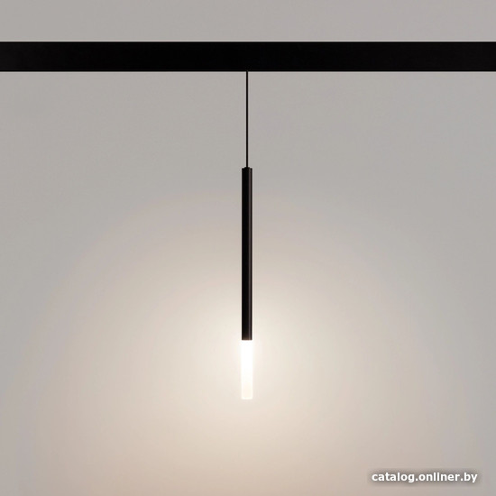 Трековый светильник Arlight MAG-ORIENT-STICK-HANG-R20-3W Day4000 036541(1)