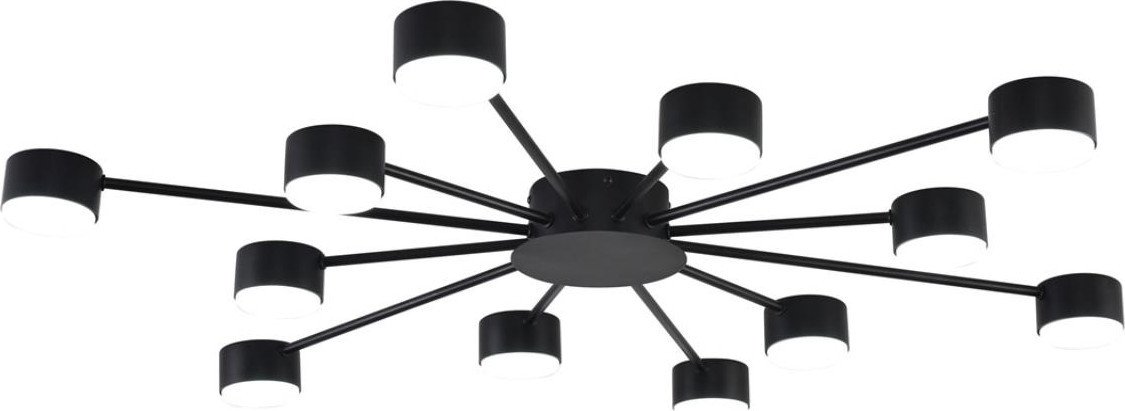 Припотолочная люстра Lumion Torina 8344/12C