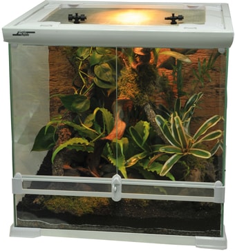 Палюдариум Lucky Reptile Aqua-Tarrium (белый)