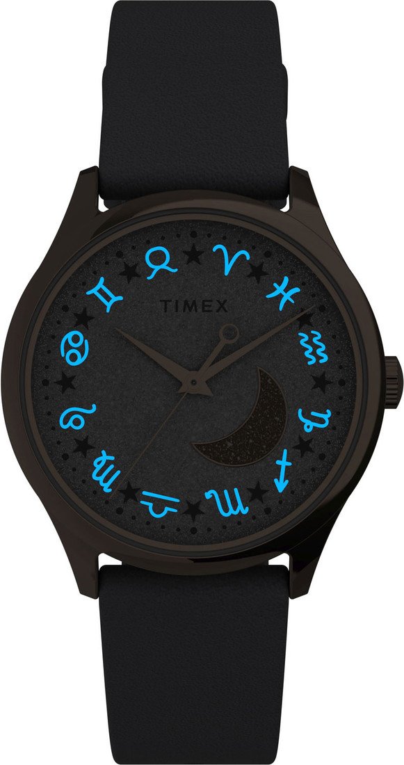 Наручные часы Timex TW2V49400