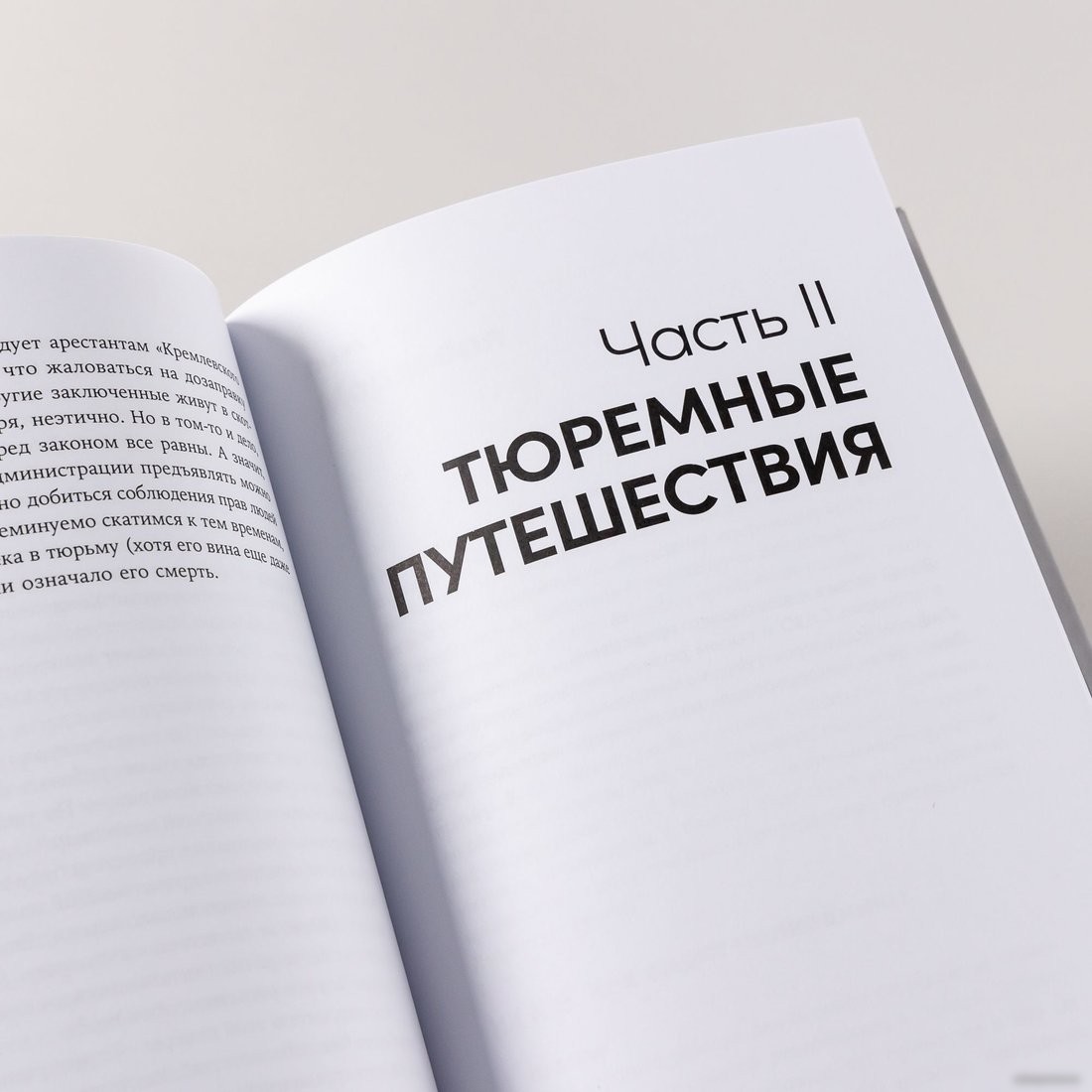 Книга издательства Альпина Паблишер. Кому на Руси сидеть хорошо (Меркачева Е.)