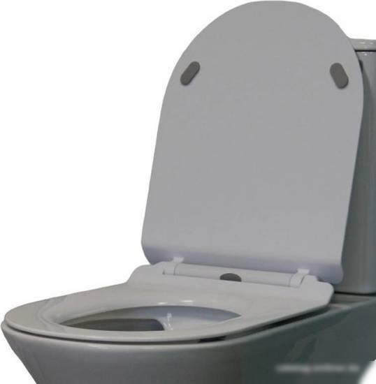 Сиденье для унитаза Cerutti Spa Bernina CT7586