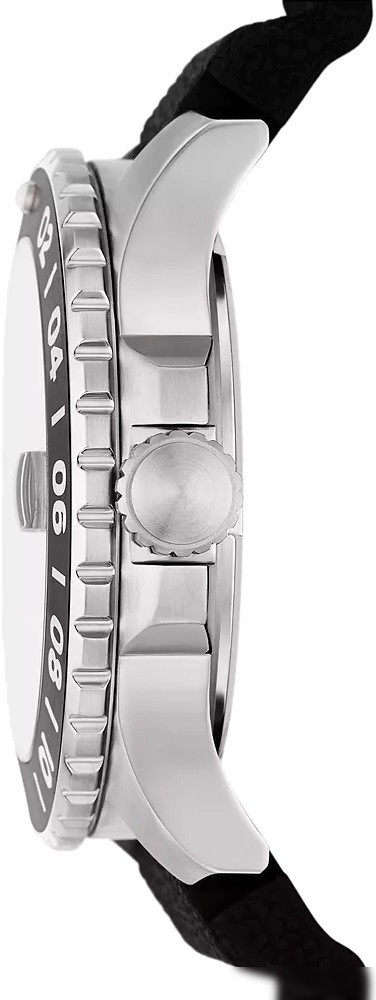 Наручные часы Fossil FS6036