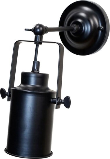 Точечный светильник LOFT IT Spotlight LOFT2092/1W