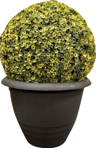 Кашпо GardenPlast Примула (графитовый)