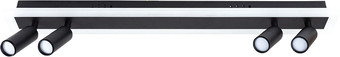 Спот Arte Lamp Tommy A2607PL-30BK