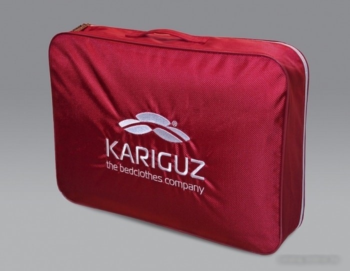 Спальная подушка Kariguz Био Пух БП10-5 (68x68 см)