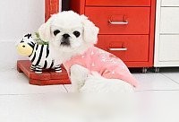 Футболка Puppia Simon PASA-TS1602-IP-M (розовый)