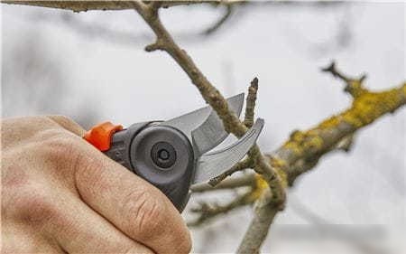 Секатор Gardena ExpertCut 12203-20