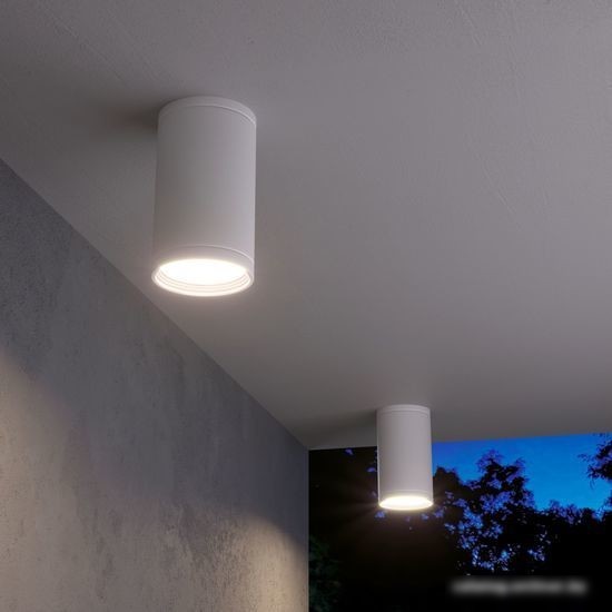 Уличный накладной светильник Elektrostandard Light 2101 35128/H (белый)