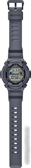 Наручные часы Casio WS-1300H-8A