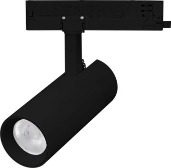 Трековый светильник Arlight LGD-GERA-2TR-R60-15W Warm3000 BK 55deg 055069