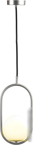 Подвесная люстра LOFT IT Glob LOFT2595-B