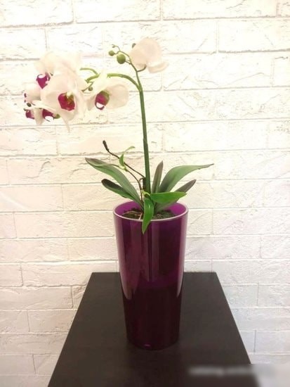 GardenPlast Камелия 1.5 л (серый)