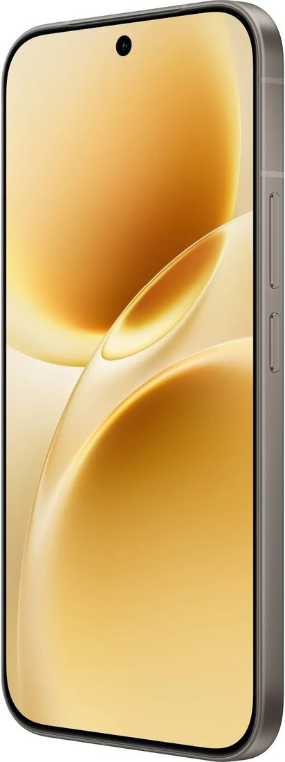 Телефон Vivo V70 V2538 8GB/256GB международная версия (серый)
