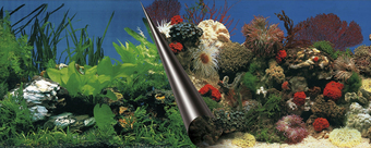 Фон Aqua Della Stone & Coral 120x50 см 241/108871
