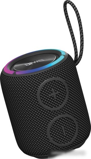 Беспроводная колонка Aiwa PAS-H100 (черный)