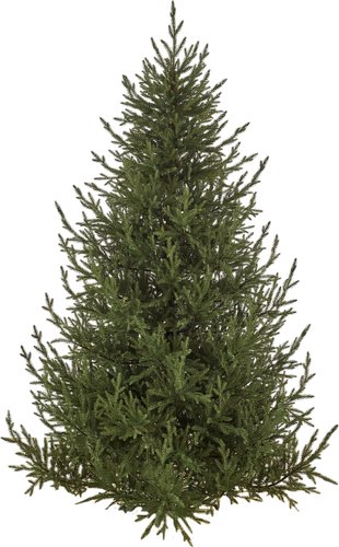 Ель Max Christmas Литая Лесная Симфония ЕЛСМЛ 21 (2.1м, подставка металл)