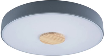Люстра-тарелка LOFT IT Axel 10003/24 Grey