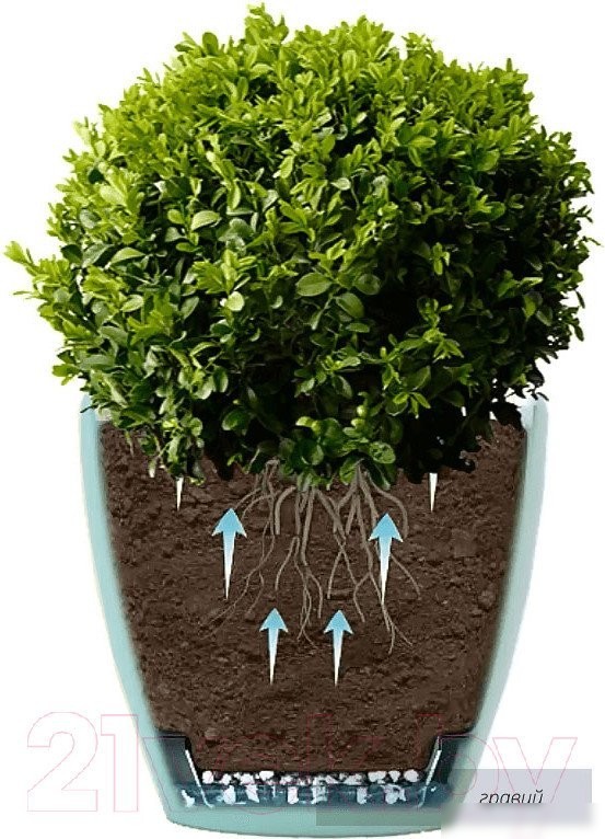 Вазон Santino Deco Twin DT4 SAD (шаде)