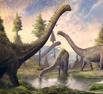 Фотообои Arthata Fotooboi-Dinozavr-75 (300x270)
