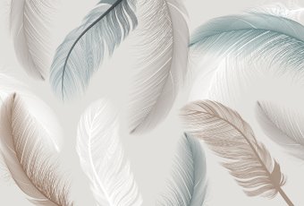 Фотообои Vimala Нежные перья 270x400