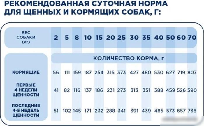 Сухой корм для собак Pet's Brunch Starter для щенков и кормящих с говядиной 14 кг
