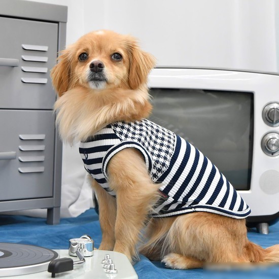 Футболка Puppia Winona PAUA-TS1801-NY-S (S, синий)