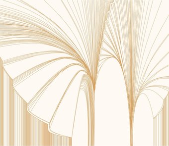 Фотообои Citydecor Perfect Lines 23 (300x260см)