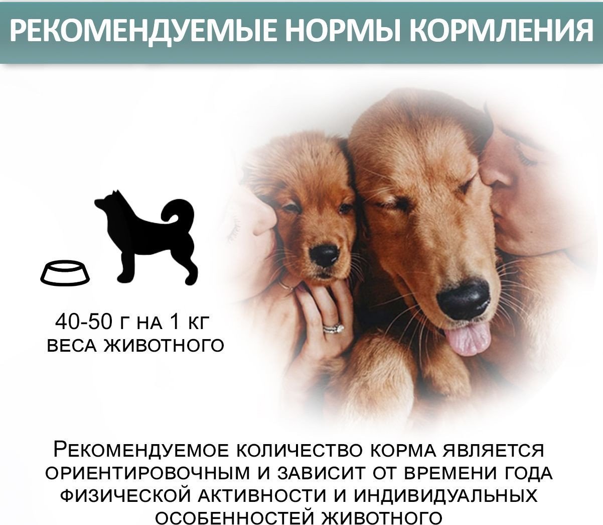 Консервированный корм для собак Edel Ягненок с сердцем 850 г
