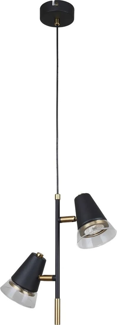 Подвесная люстра F-Promo Trandy 4618-2P