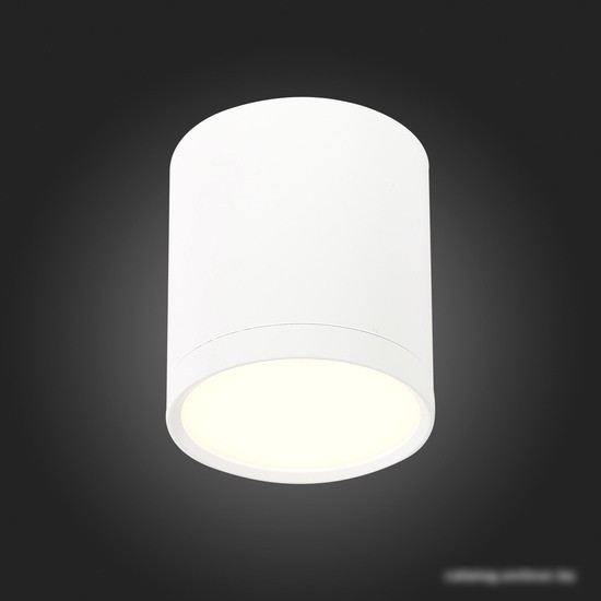Точечный светильник ST Luce Rene ST113.532.05