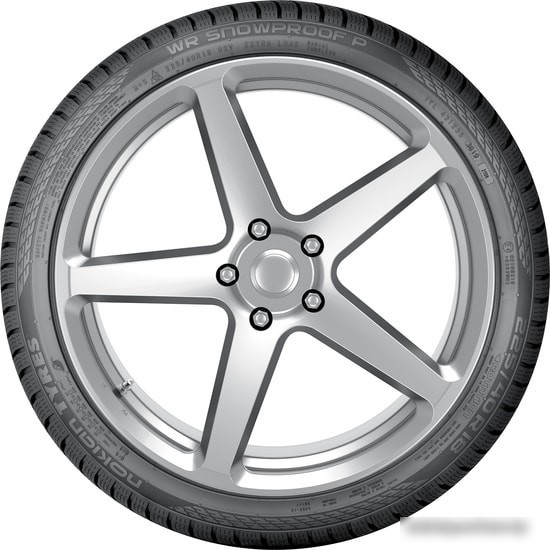 Автомобильные шины Nokian WR Snowproof P 245/45R19 102V