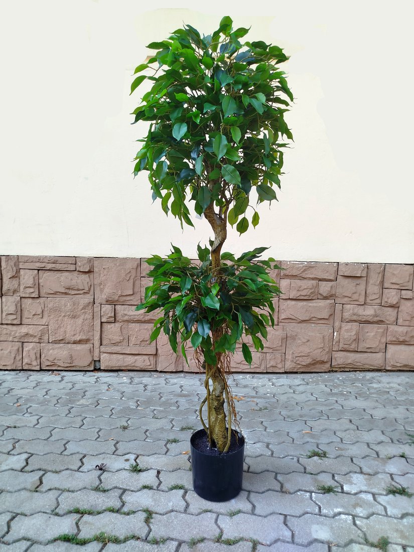 Искусственное растение Forgarden Ficus Double Topiary BN11272