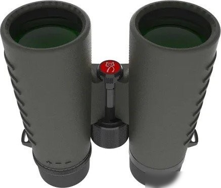 Бинокль Mewlite Eternals Pro 10x42 ED Roof