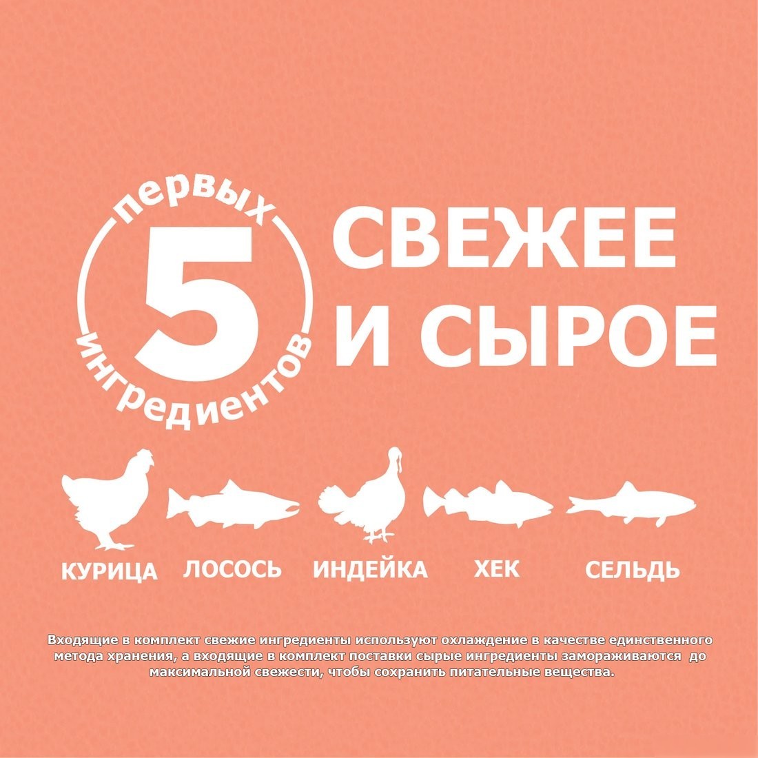 Сухой корм для собак Orijen Dog Puppy Small Breed 1.8 кг