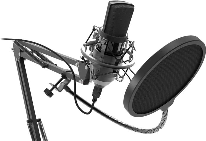 Микрофон Ritmix RDM-169