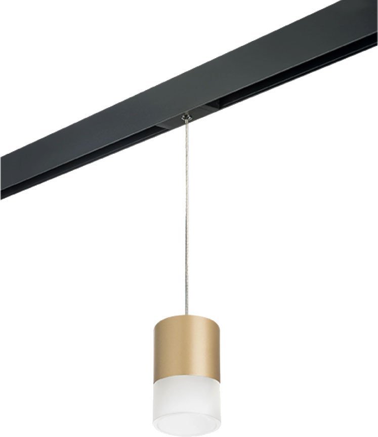 Трековый светильник Lightstar Rullo PRORP349081