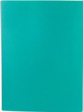 Папка для бумаг Lite NP0151-30ВG с файлами