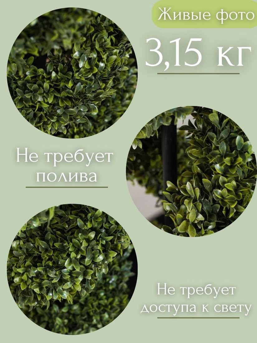 Искусственное растение Merry Bear Home Decor Самшит спиралевидный в горшке AQ10115