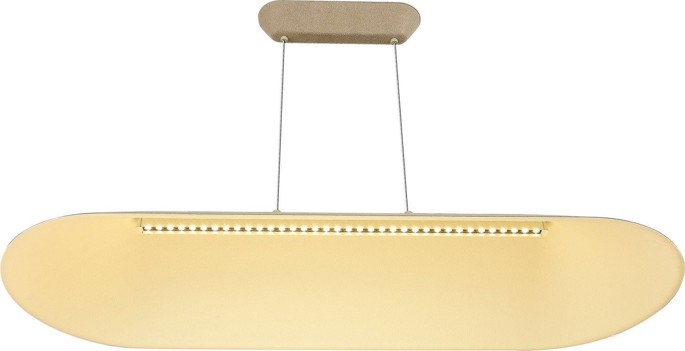 Подвесная люстра ST Luce SL3001.813.01