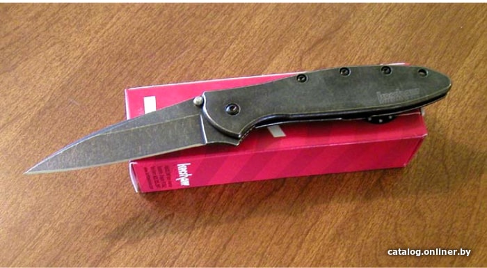 Складной нож Kershaw 1660BLKW Leek