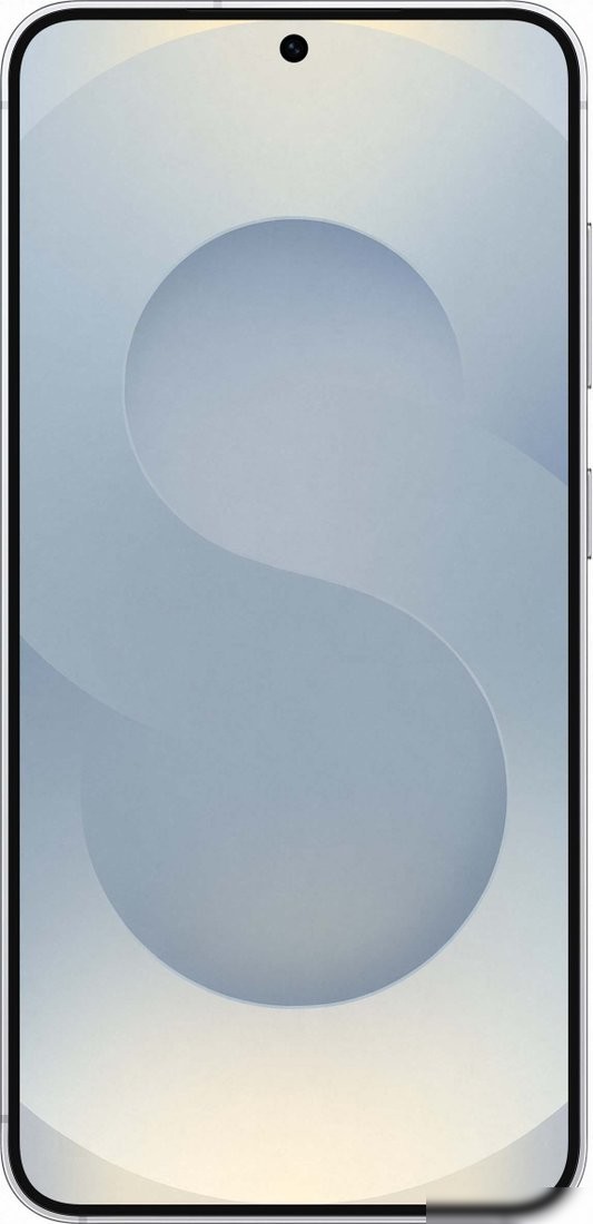 Телефон Samsung Galaxy S25 SM-S931N 12GB/256GB (серый)
