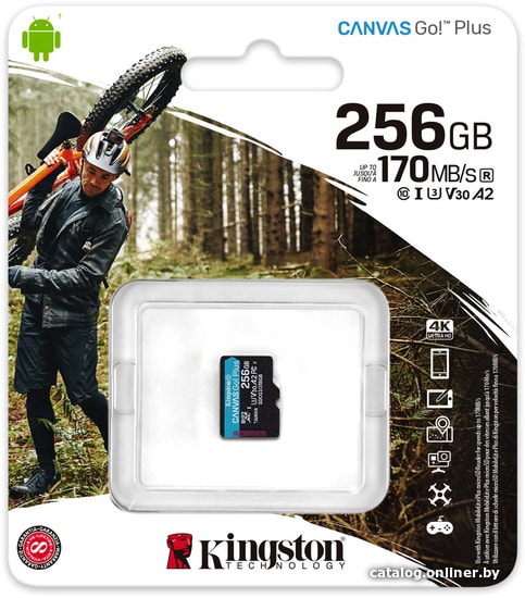 Карта памяти Kingston Canvas Go! Plus microSDXC 256GB