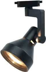 Точечный светильник Arte Lamp Nido A5108PL-1BK