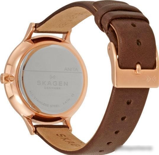 Наручные часы Skagen SKW2472